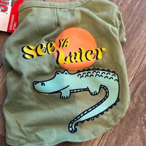 Pet smart doggie bundle. 6 items.